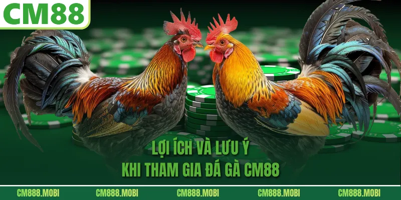 Lợi ích và lưu ý khi tham gia Đá Gà CM88